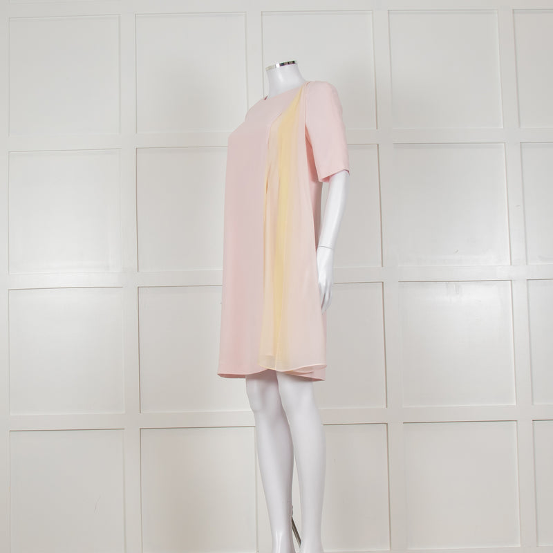 D Exterior Pink Dress With Yellow Pleated Insert