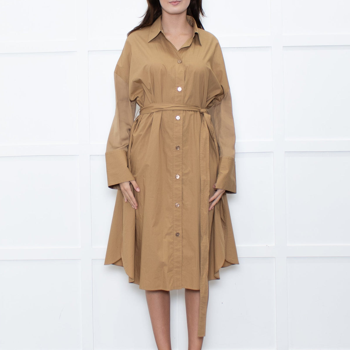 Joseph Camel Darwin Belted Shirt Dress
