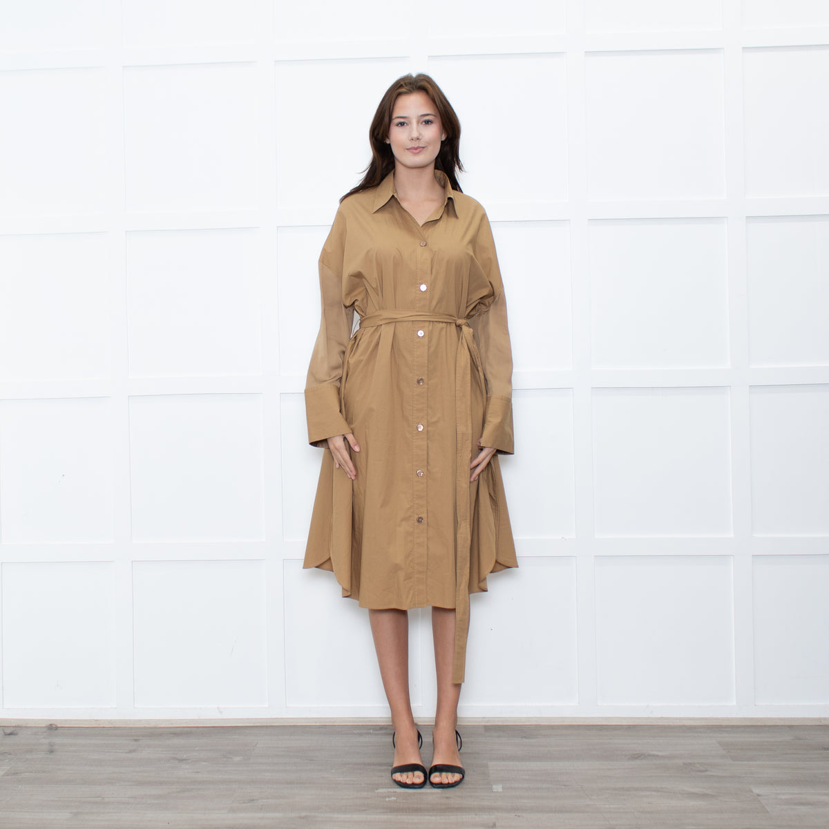 Joseph Camel Darwin Belted Shirt Dress