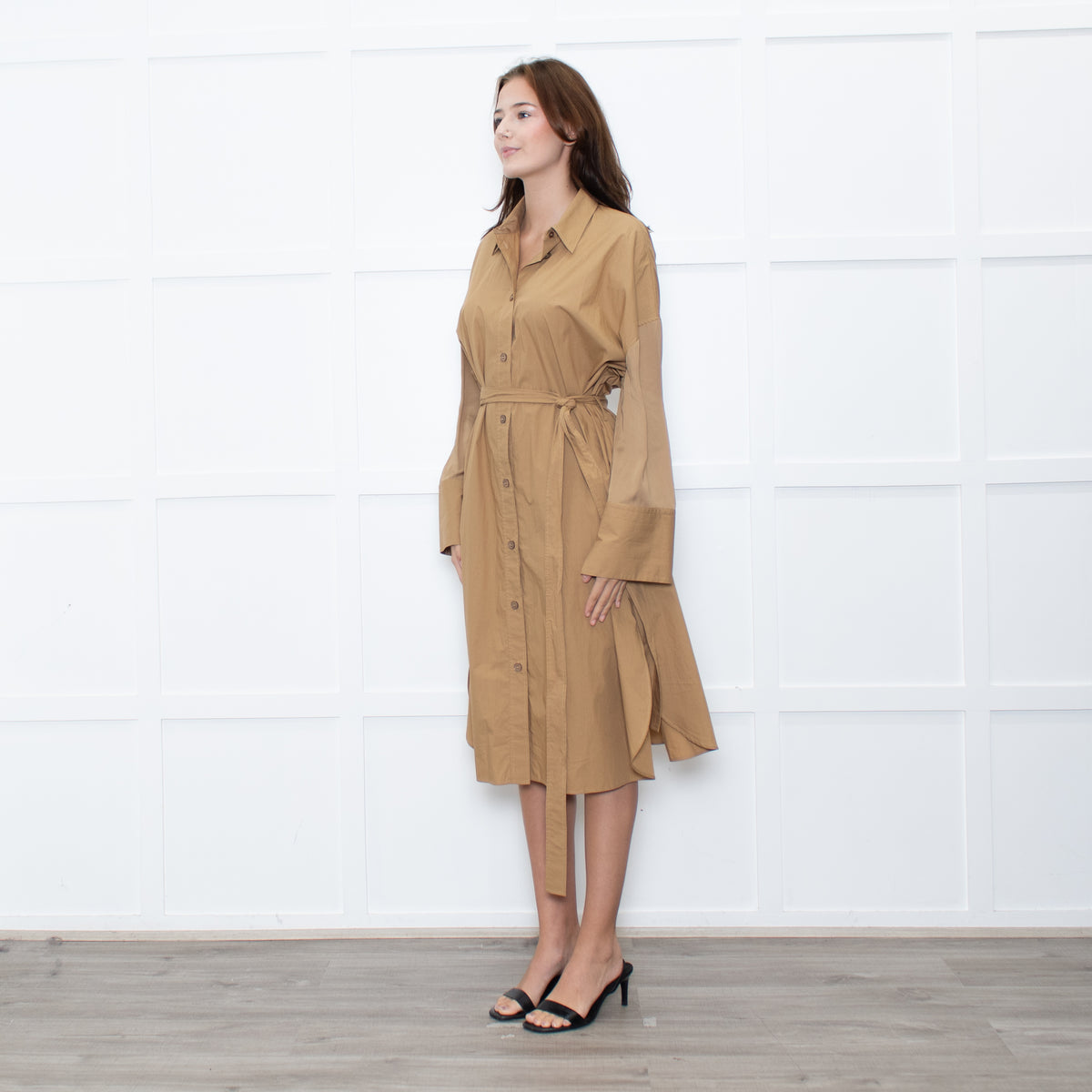 Joseph Camel Darwin Belted Shirt Dress