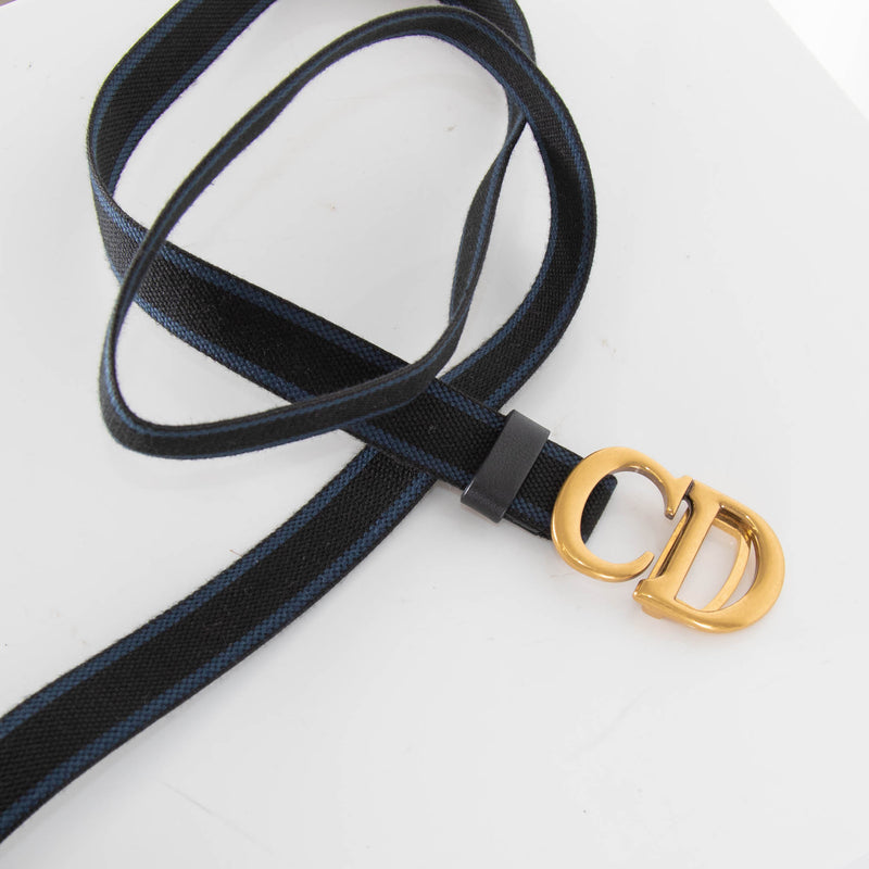 Christian Dior Distressed Canvas Saddle Belt Bag