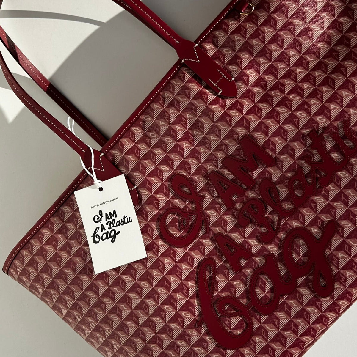Anya Hindmarch Medium Damson I am a Plastic Bag Zipped Tote
