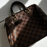 Louis Vuitton Brown Speedy 25 Bag