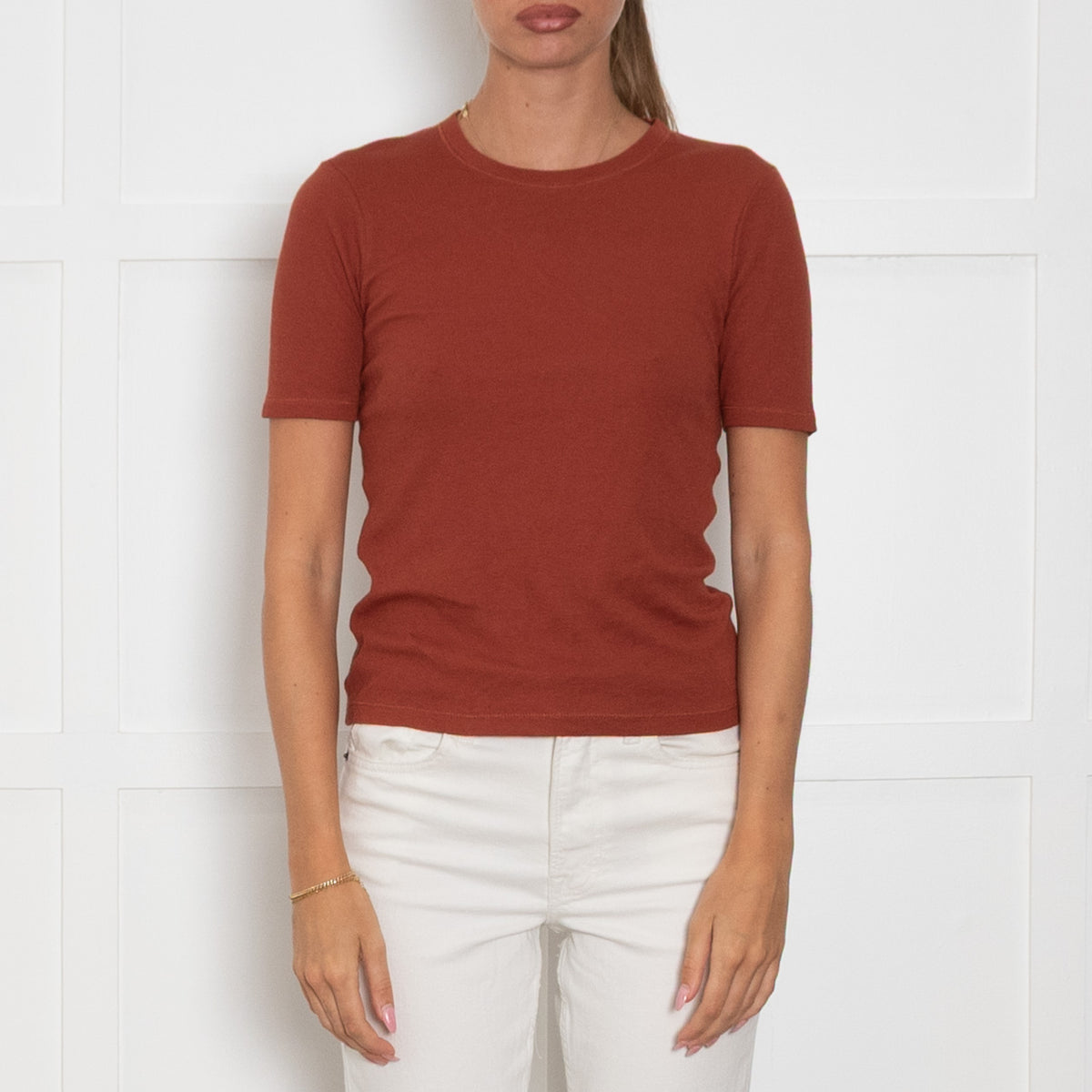 Rag & Bone Brown Short Sleeve T-Shirt