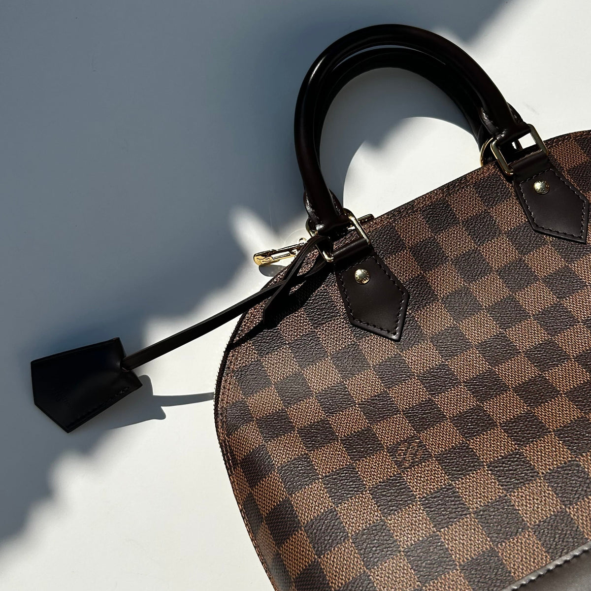 Louis Vuitton Alma PM Damier Ebene Bag