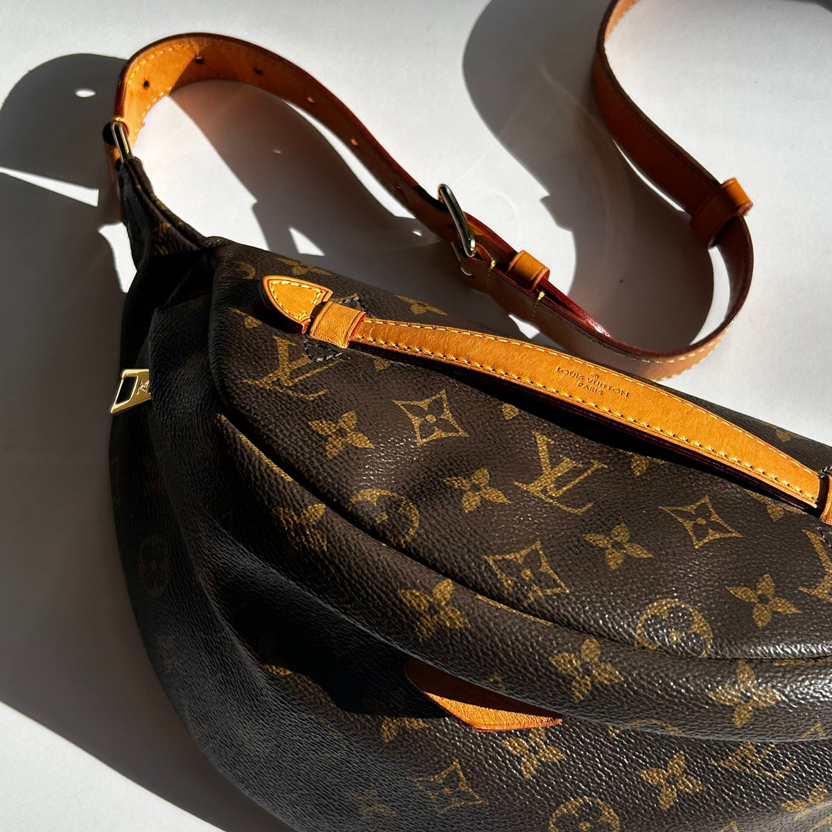 Louis Vuitton Monogram Canvas Belt Bag