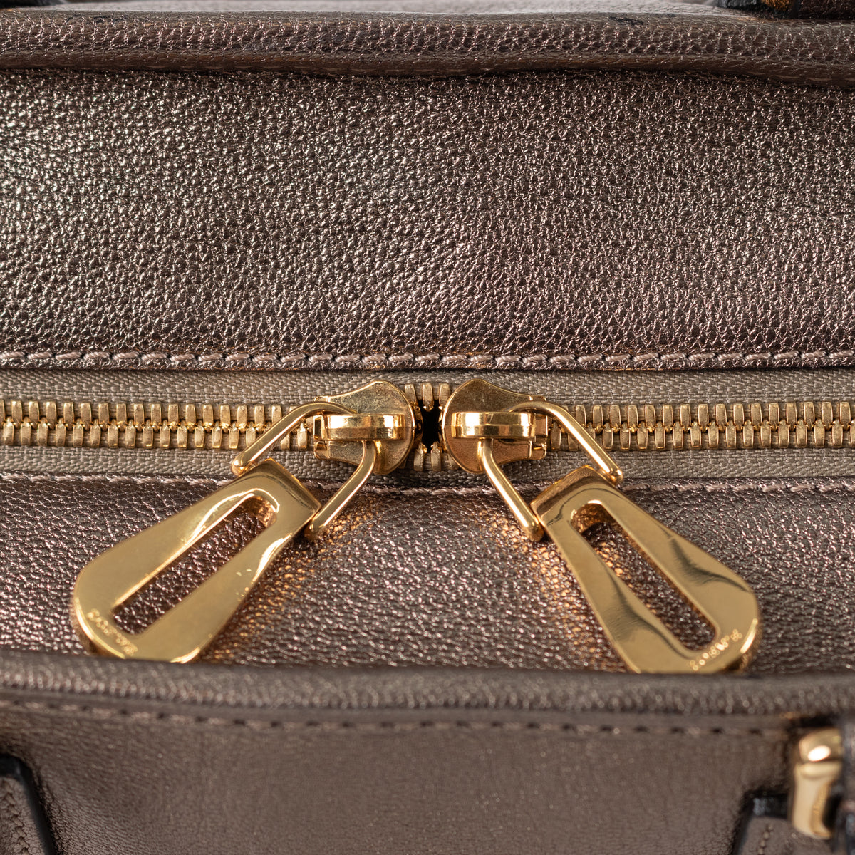 Loewe Gold Tone Amazona Bag