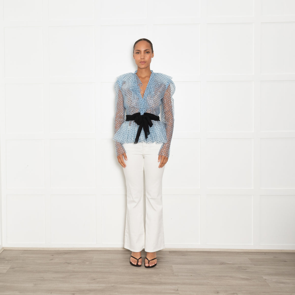Philosophy Blue Net Polka Dot Top with Puff Sleeves
