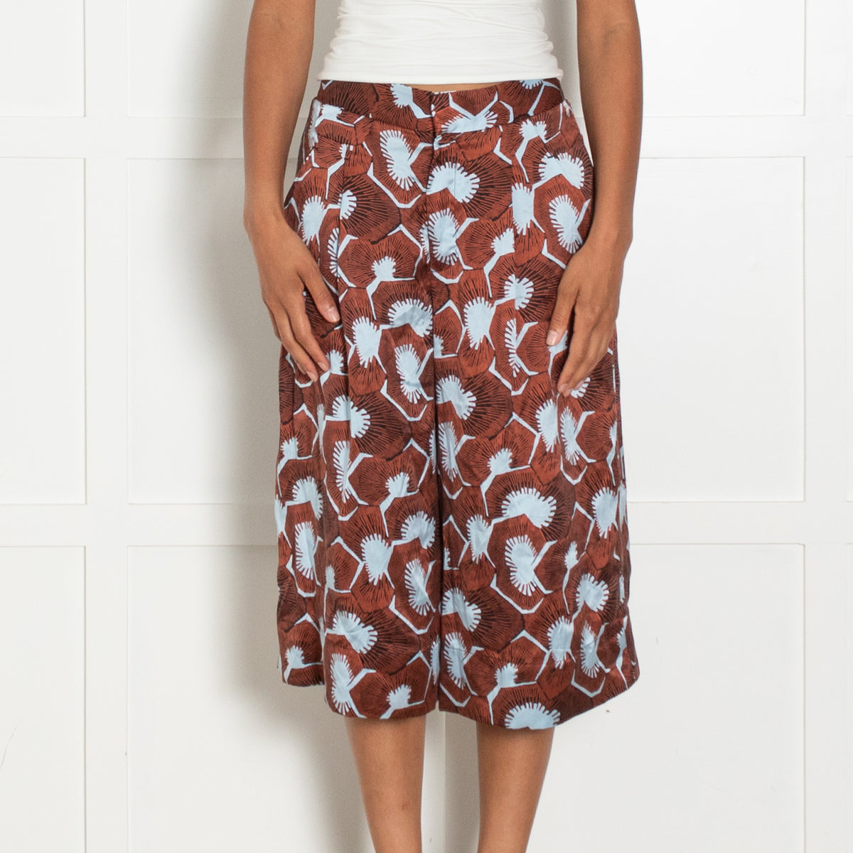 Equipment Brown Blue Silk Long Shorts
