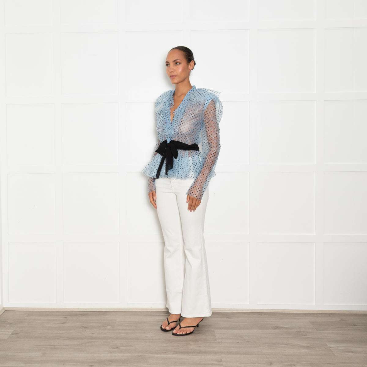 Philosophy Blue Net Polka Dot Top with Puff Sleeves