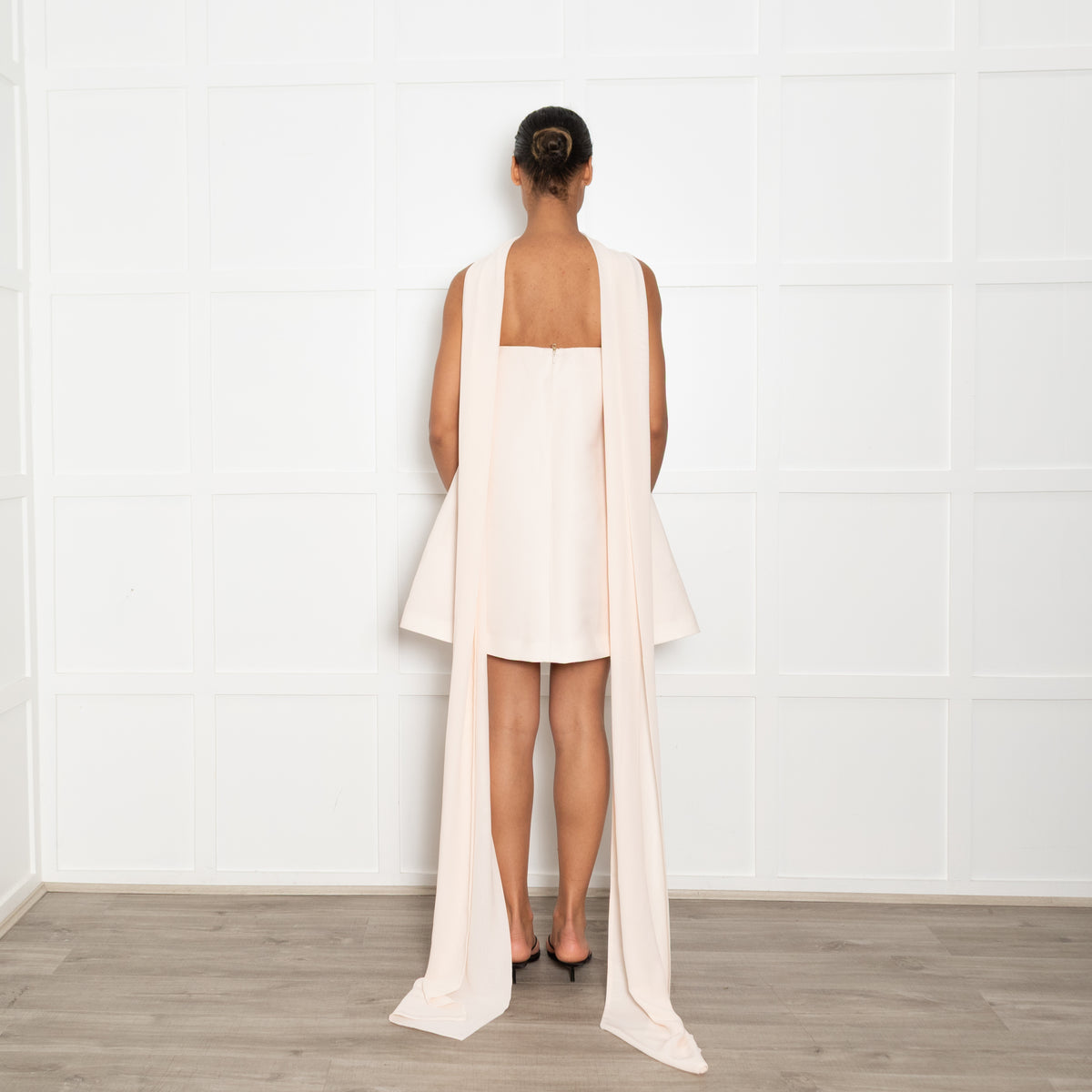 Sau Lee Pale Pink Ruby Dress With Chiffon Scarf