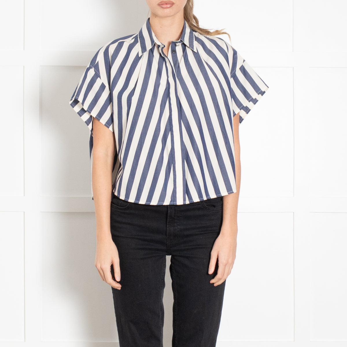 Rag & Bone Blue and White Stripe Cropped Shirt