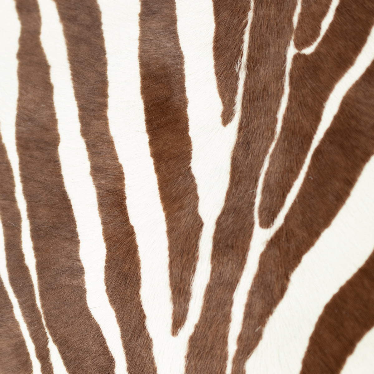 Close-up of brown and white zebra stripe pattern Anya Hindmarch Zebra print Large Tote handbag