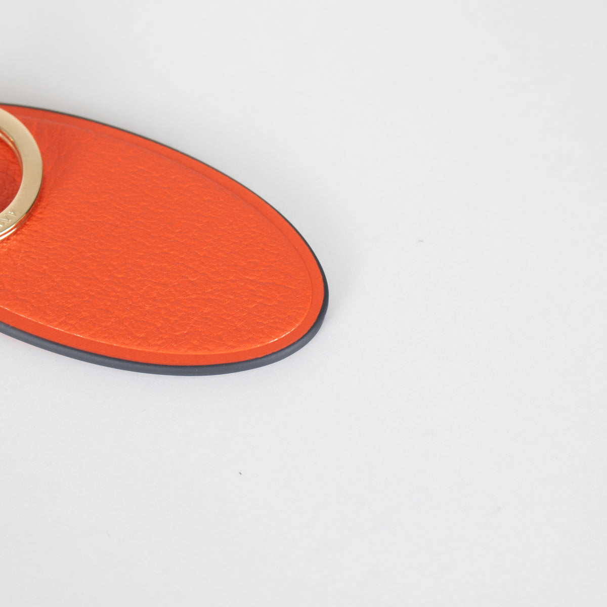 Anya Hindmarch Clementine Bespoke Medium Keyring