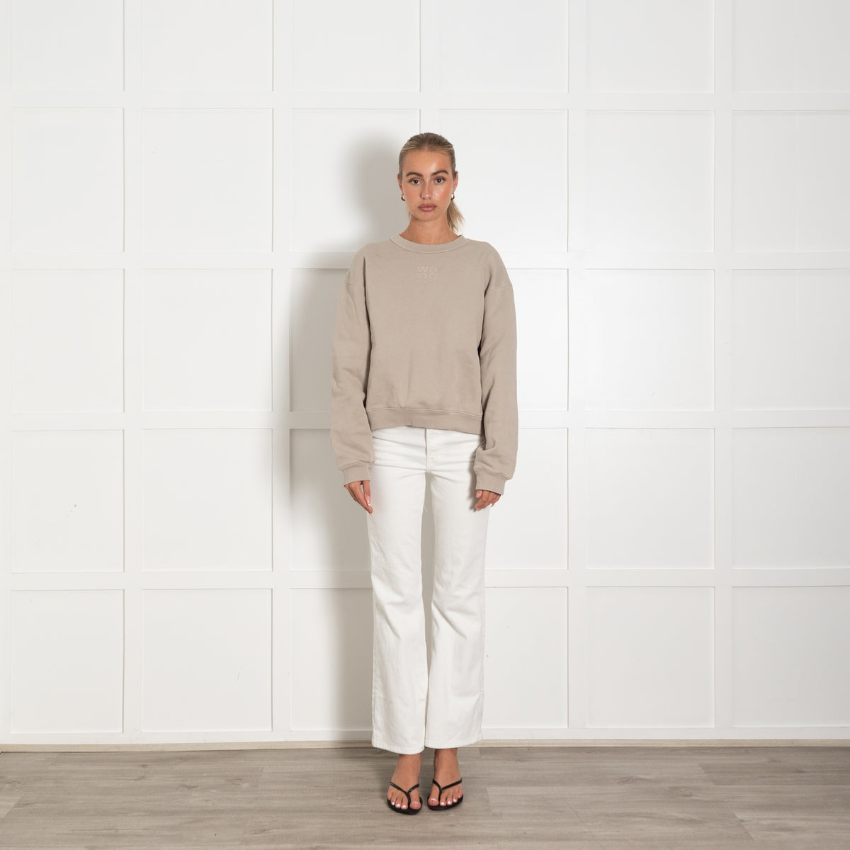 Alexander Wang Beige Cotton Oversized Sweatshirt