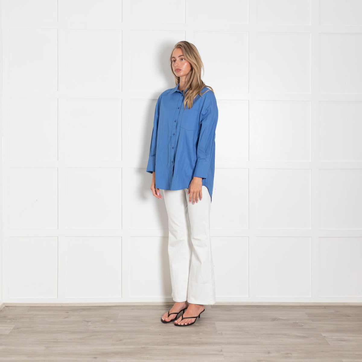 Anine Bing Blue Cotton Oversized Shirt
