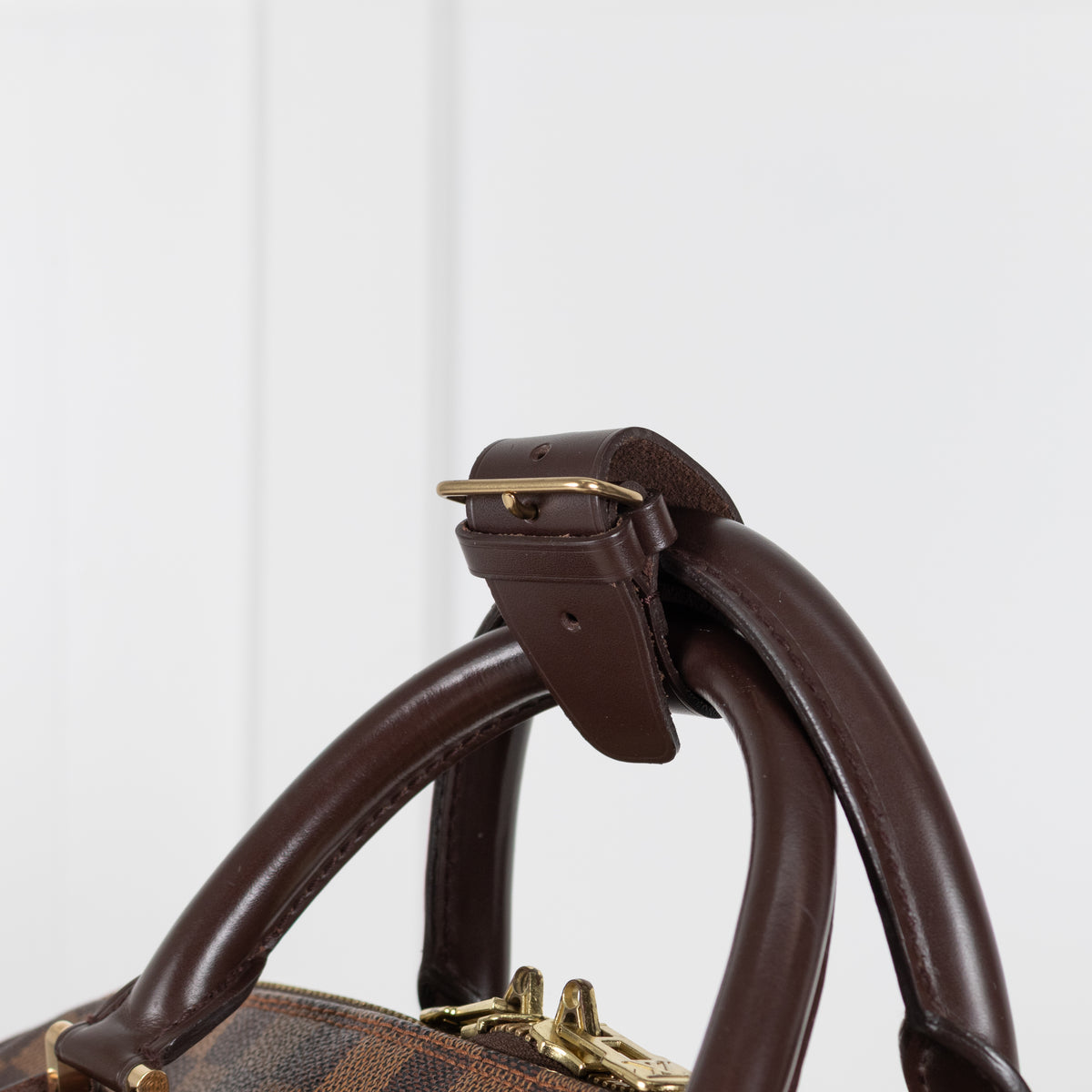 Louis Vuitton Damier Ebene Ribera GM travel bag