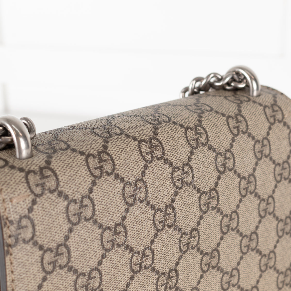 Gucci Mini Dionysus Silver Hardwear