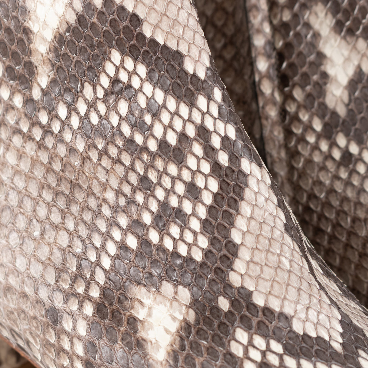 Gianvito Rossi Taupe Snakeskin Block Heel Ankle Boots - Image 11