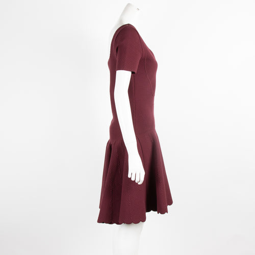 Antonio Berardi Claret Short Sleeve Fit And Flare Dress