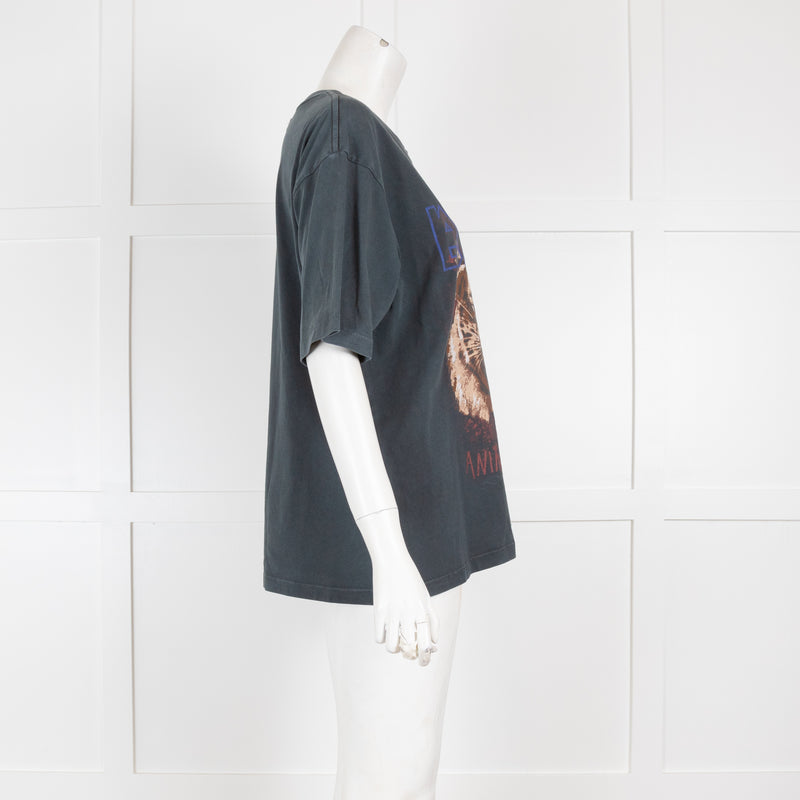 Anine Bing Grey Tiger Graphic T-Shirt – Phoenix Style