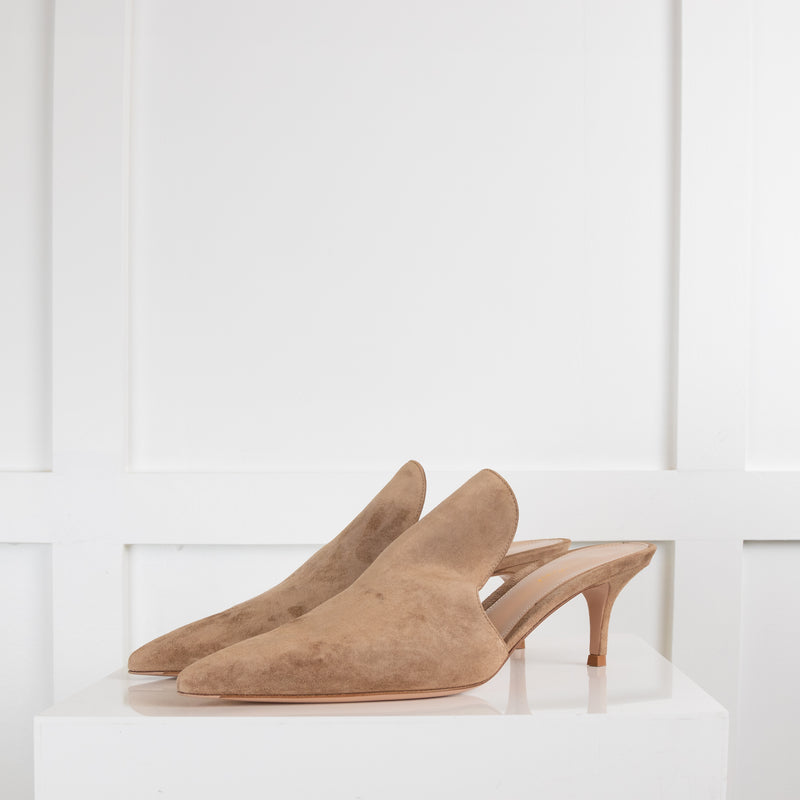 Gianvito Rossi Beige Suede  Kitten Mule