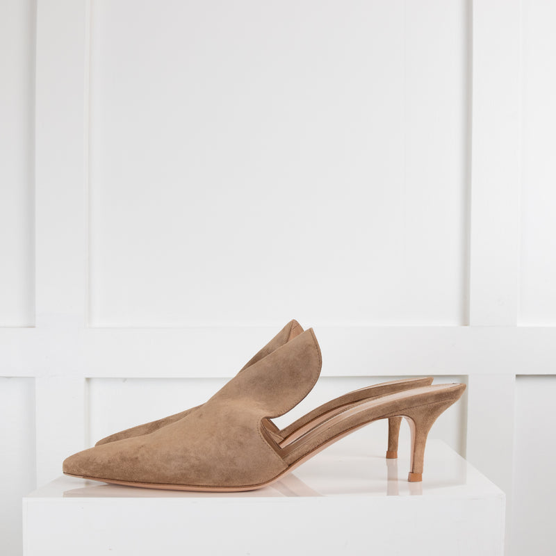 Gianvito Rossi Beige Suede  Kitten Mule