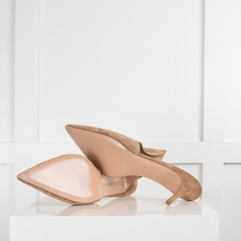 Gianvito Rossi Beige Suede  Kitten Mule