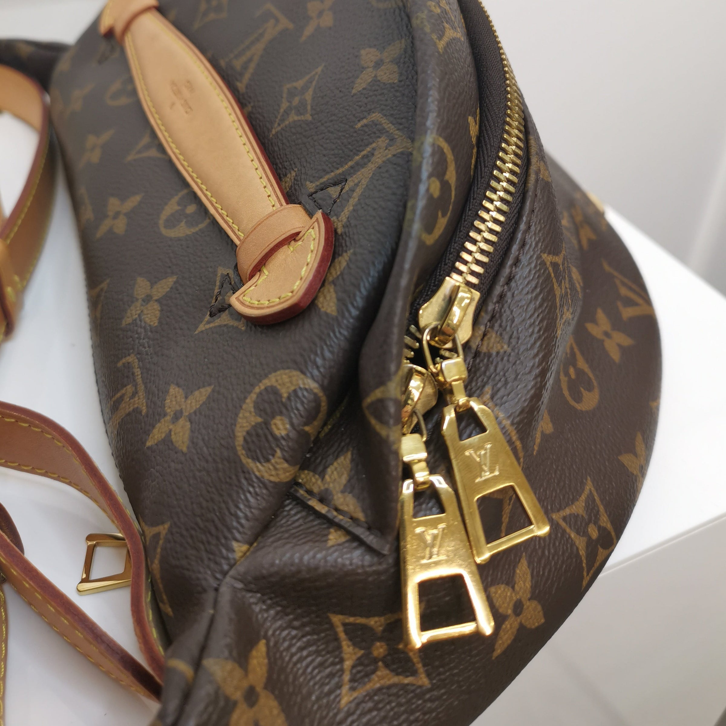 Louis Vuitton Bumbag -  UK