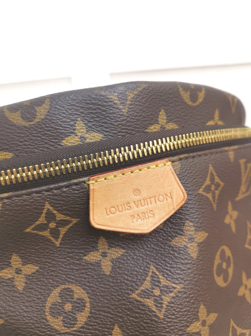 Louis Vuitton Monogram Bumbag