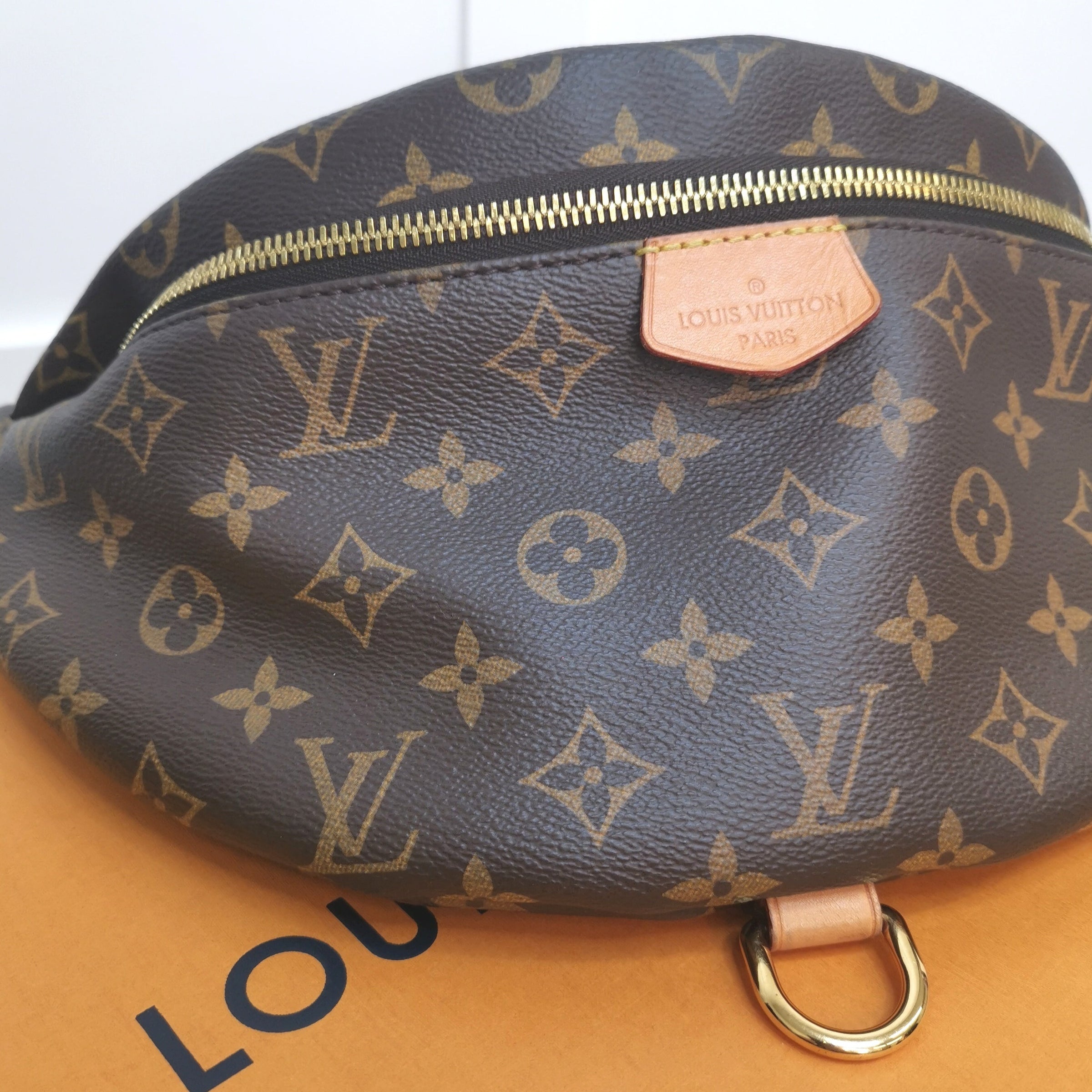 Louis Vuitton Monogram Bumbag