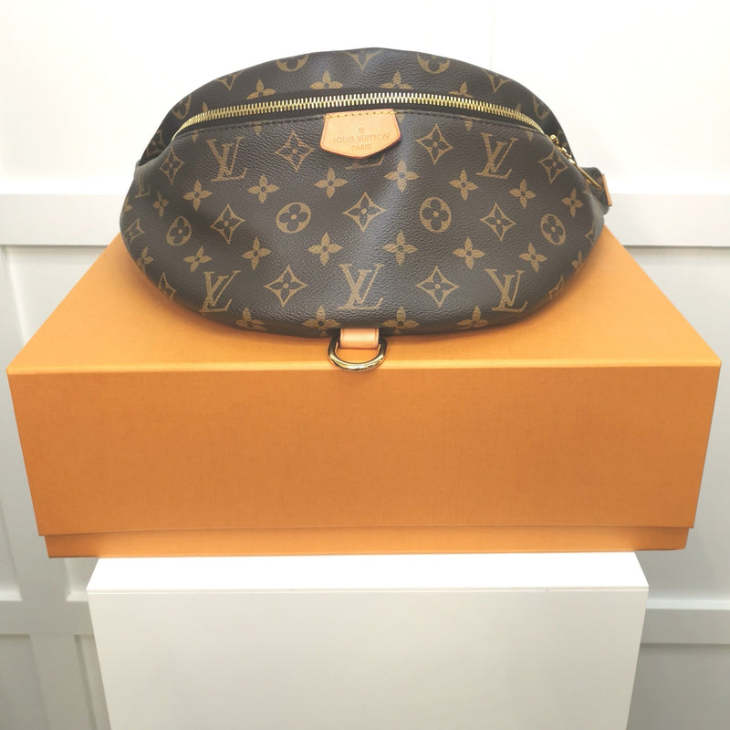 Louis Vuitton Monogram Bumbag